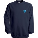 color:navy
